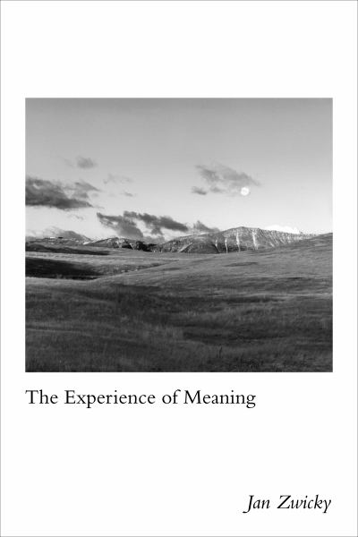 Zwicky, Jan / Experience Of Meaning