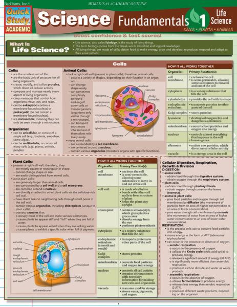 Barcharts / Science Fundamentals 1