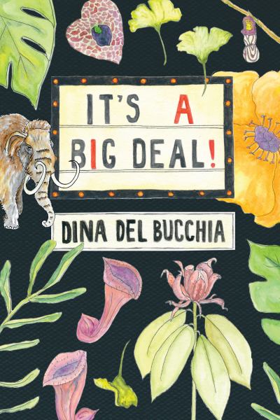 Del Bucchia, Dina / Its A Big Deal!