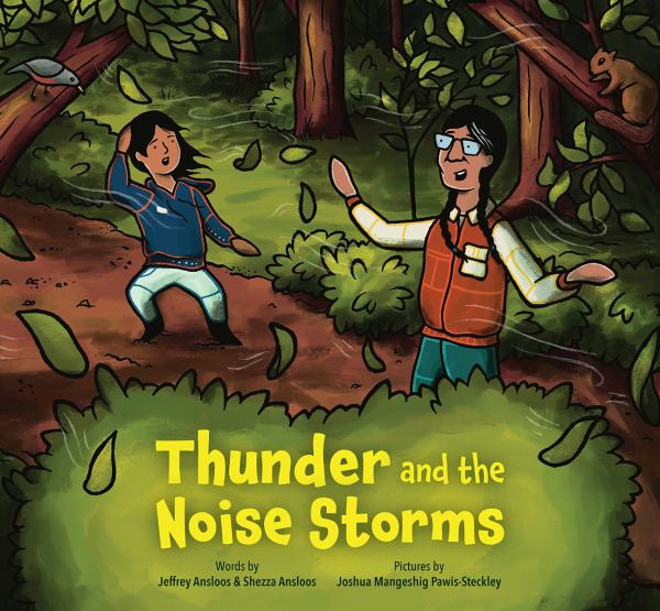 Ansloos, Jeffrey / Thunder And The Noise Storms