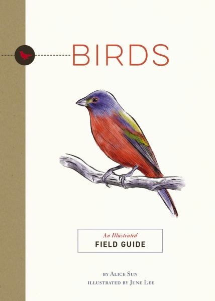 9781951511326 / Sun, Alice / Birds:An Illustrated Field Guide / TR